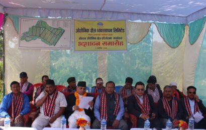 नौवस्तामा औद्योगिक क्षेत्र परियोजना कार्यालयको उद्घाटन