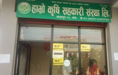 हाम्रो कृषि सहकारी सस्था कोहलपुरमा सञ्चालन