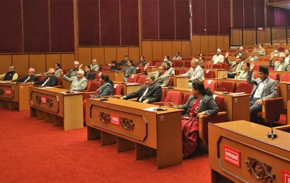 राष्ट्रिय सभाको बैठक दिउँसो एक बजे बस्दै