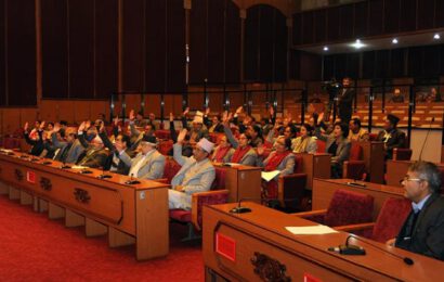 राष्ट्रिय सभाबाट मिडिया काउन्सिल विधेयक पारित