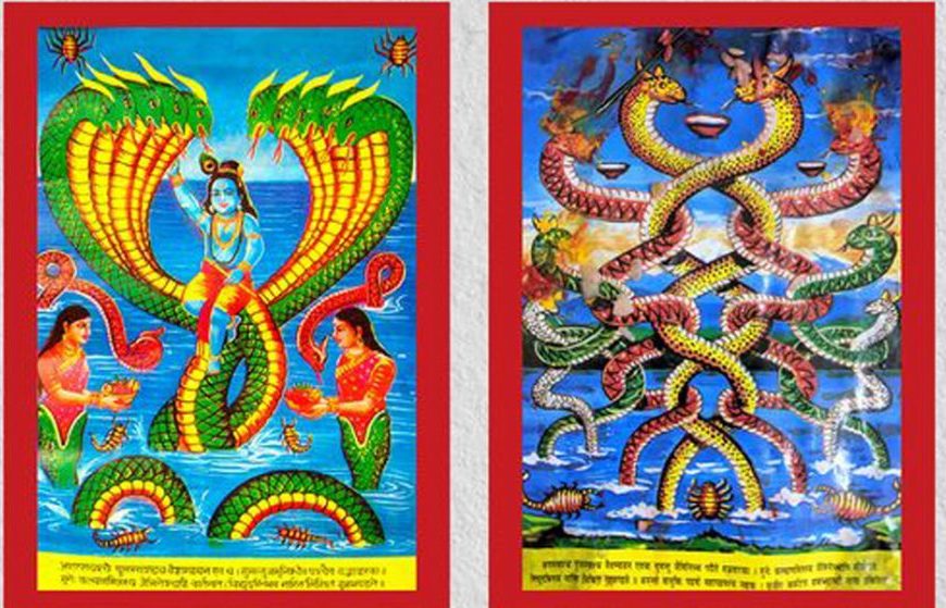 नागको पूजा गरी नाग पञ्चमी पर्व मनाइदै